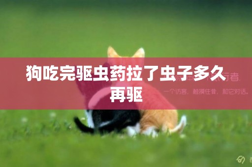 狗吃完驅蟲藥拉了蟲子多久再驅