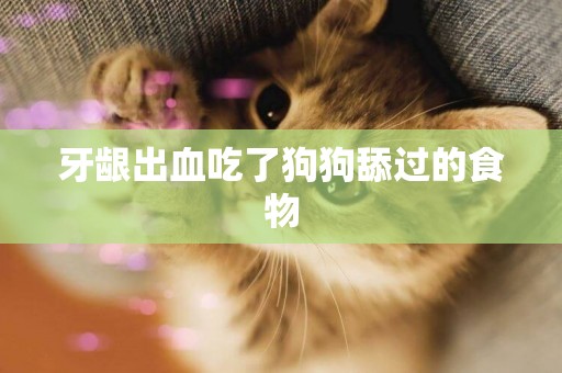 牙齦出血吃了狗狗舔過的食物