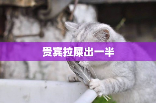 貴賓拉屎出一半