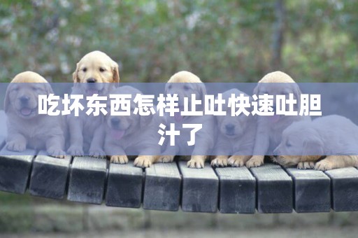 吃壞東西怎樣止吐快速吐膽汁了