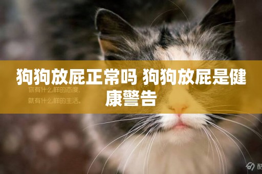 狗狗放屁正常嗎 狗狗放屁是健康警告