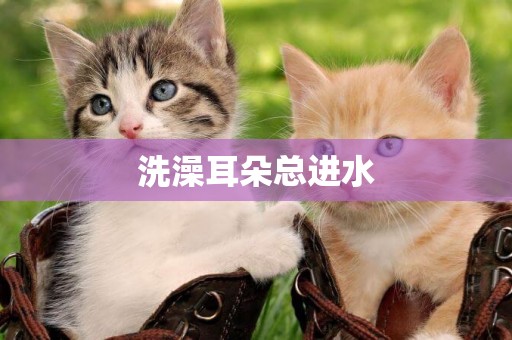 洗澡耳朵總進水