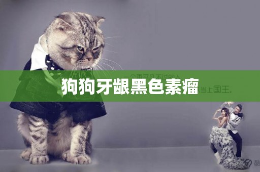 狗狗牙齦黑色素瘤
