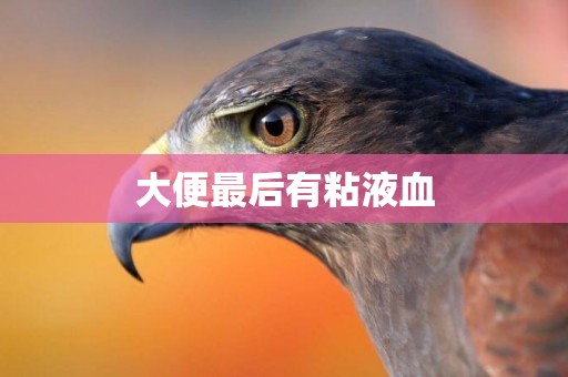 大便最后有粘液血