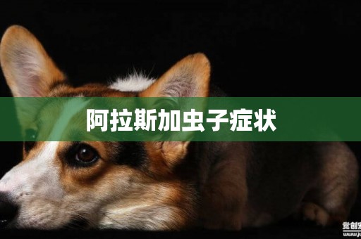 阿拉斯加蟲子癥狀