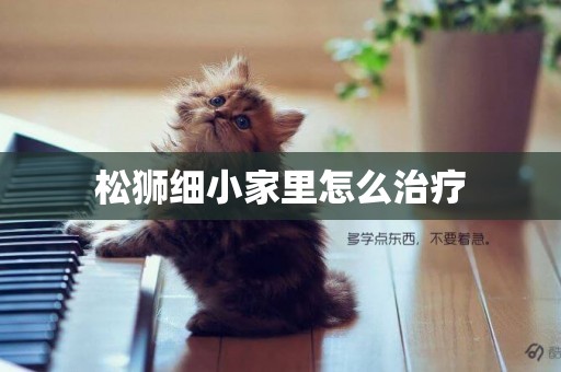 松獅細小家里怎么治療