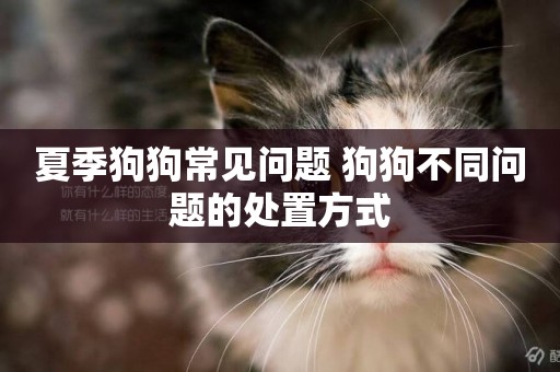 夏季狗狗常見問題 狗狗不同問題的處置方式
