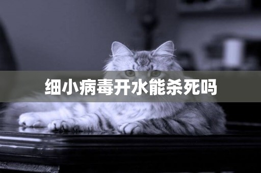 細小病毒開水能殺死嗎