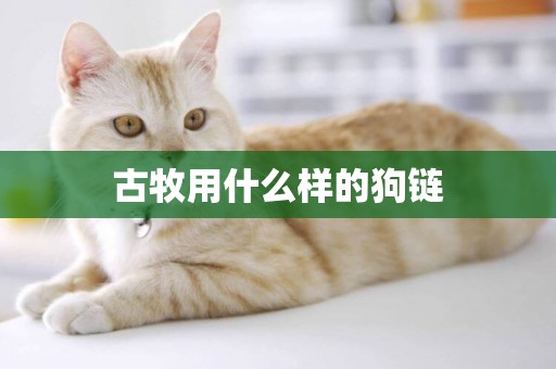 古牧用什么樣的狗鏈