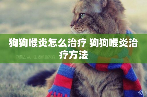 狗狗喉炎怎么治療 狗狗喉炎治療方法