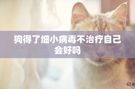 狗得了細小病毒不治療自己會好嗎
