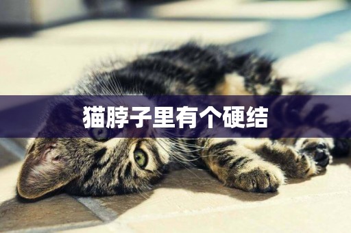 貓脖子里有個硬結