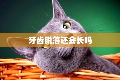 牙齒脫落還會長嗎