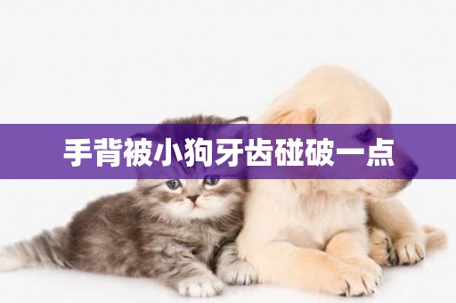 手背被小狗牙齒碰破一點