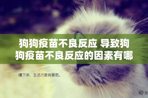 狗狗疫苗不良反應 導致狗狗疫苗不良反應的因素有哪