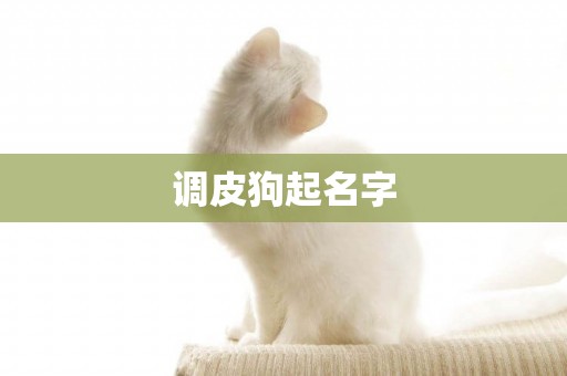 調皮狗起名字