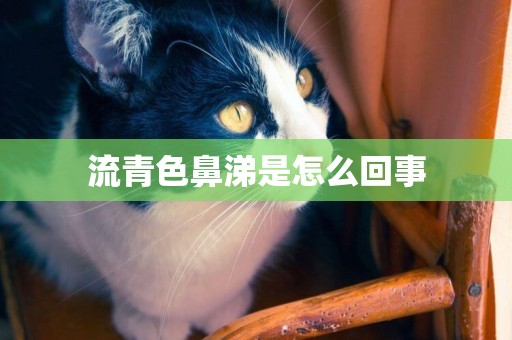 流青色鼻涕是怎么回事