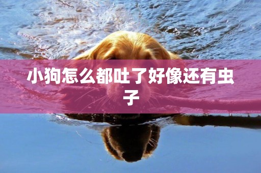 小狗怎么都吐了好像還有蟲子