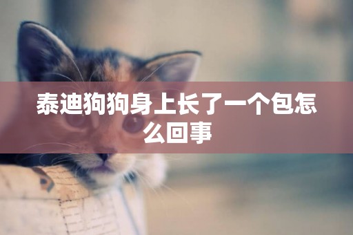 泰迪狗狗身上長了一個包怎么回事