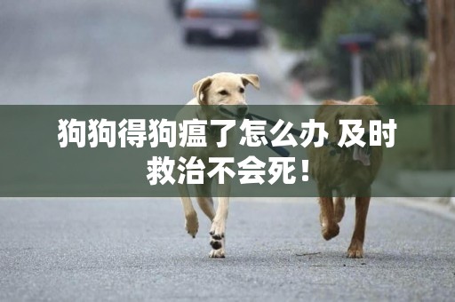 狗狗得狗瘟了怎么辦 及時救治不會死！