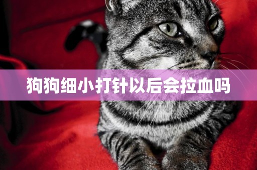 狗狗細小打針以后會拉血嗎