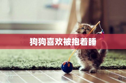 狗狗喜歡被抱著睡