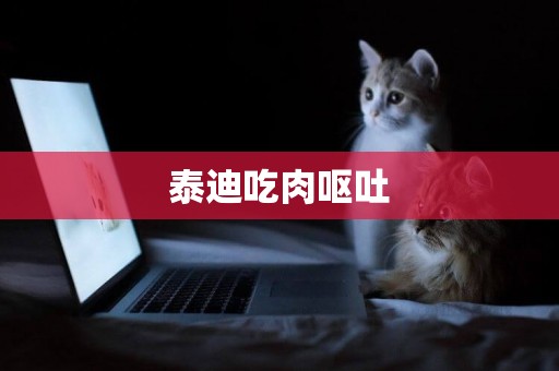 泰迪吃肉嘔吐