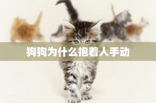 狗狗為什么抱著人手動
