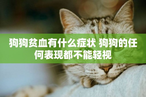 狗狗貧血有什么癥狀 狗狗的任何表現都不能輕視