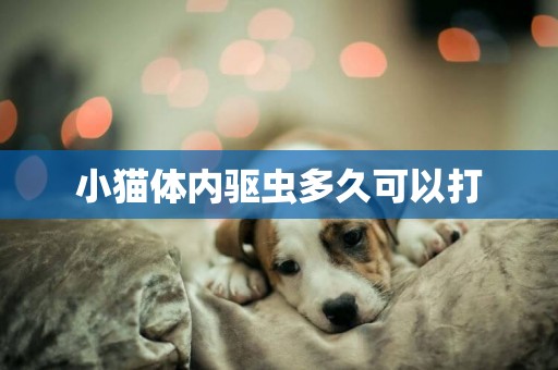 小貓體內驅蟲多久可以打