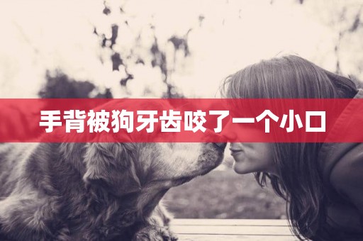 手背被狗牙齒咬了一個小口