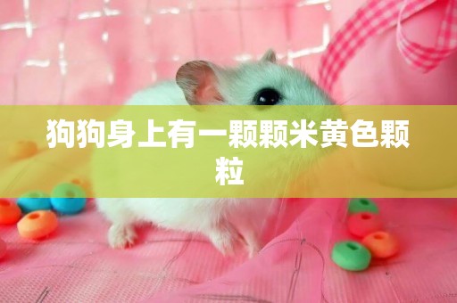 狗狗身上有一顆顆米黃色顆粒