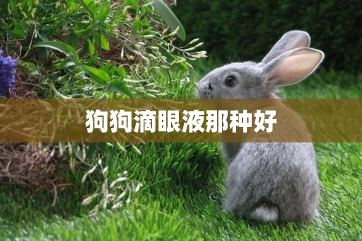 狗狗滴眼液那種好