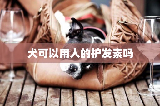 犬可以用人的護發素嗎
