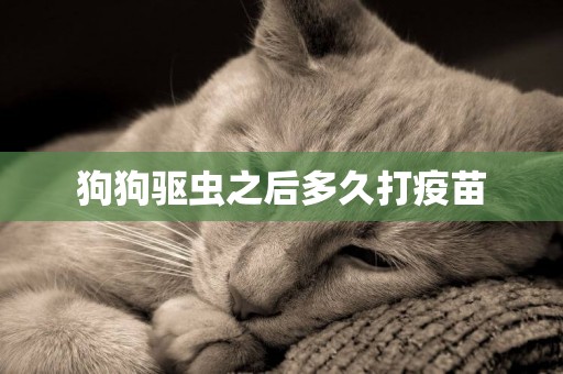 狗狗驅蟲之后多久打疫苗