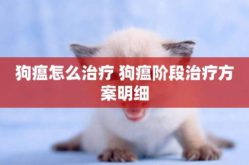 狗瘟怎么治療 狗瘟階段治療方案明細 狗瘟怎么治療 狗瘟階段治療方案明細