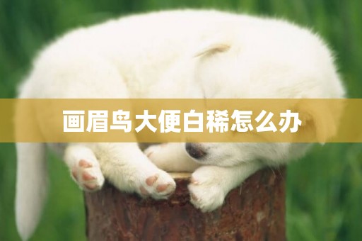畫眉鳥大便白稀怎么辦