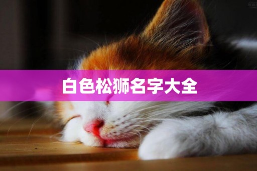 白色松獅名字大全