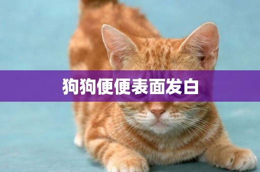 狗狗便便表面發白