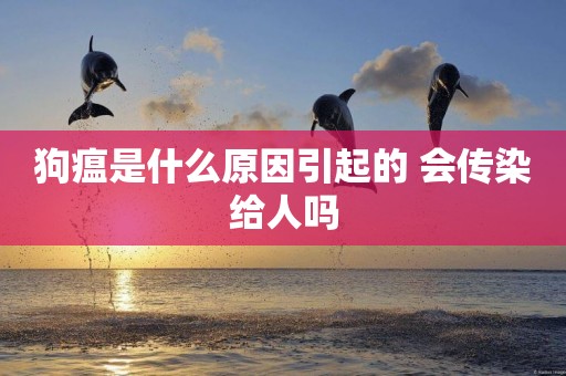 狗瘟是什么原因引起的 會傳染給人嗎