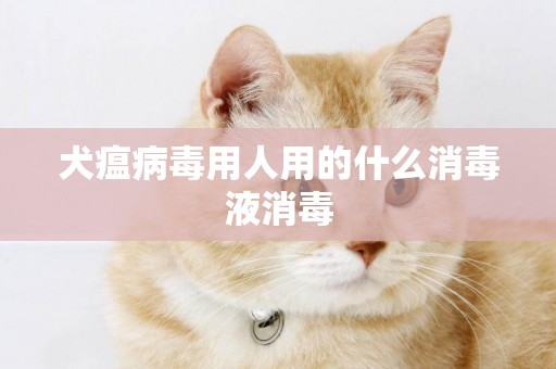 犬瘟病毒用人用的什么消毒液消毒