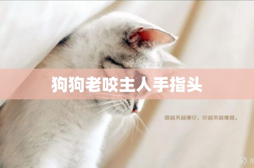 狗狗老咬主人手指頭