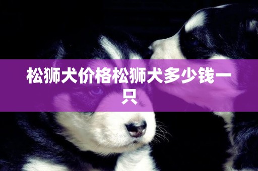 松獅犬價格松獅犬多少錢一只