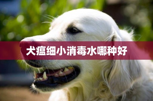 犬瘟細小消毒水哪種好