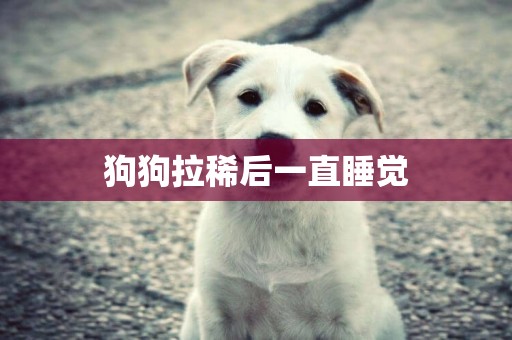狗狗拉稀后一直睡覺