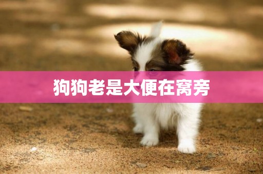 狗狗老是大便在窩旁
