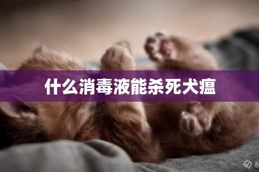 什么消毒液能殺死犬瘟