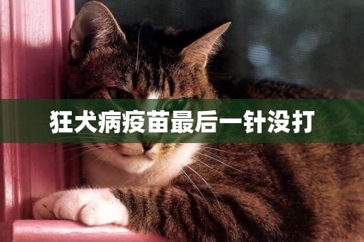 狂犬病疫苗最后一針沒打