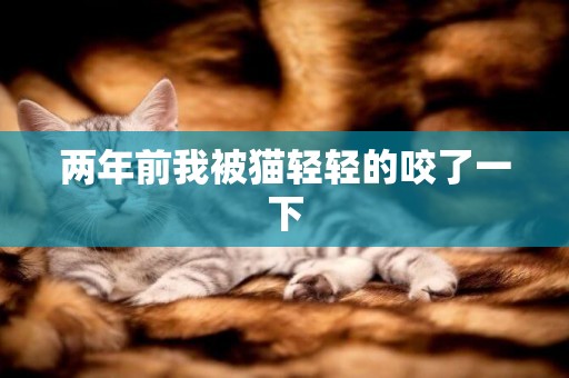 兩年前我被貓輕輕的咬了一下