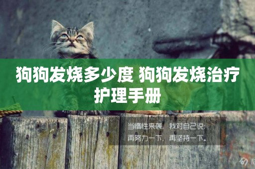 狗狗發燒多少度 狗狗發燒治療護理手冊